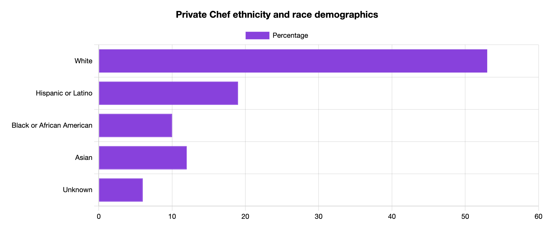 private chef ethnicity and race